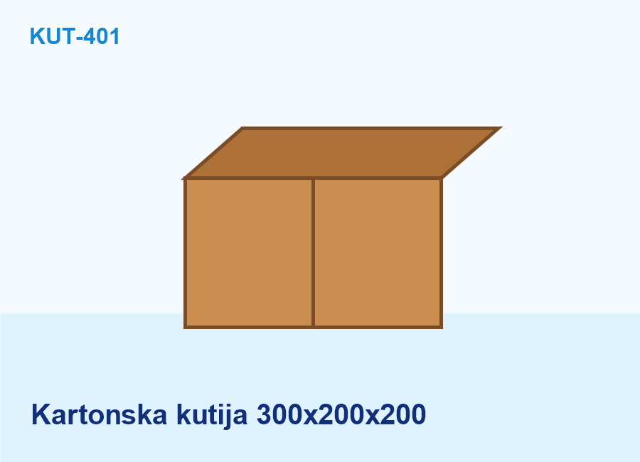 Kartonska kutija 300x200x200